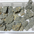 37 Pieces Raw Pyrite Stones (Sea Freight Only) -Wholesale Crystals