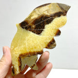 4 Pairs Septarian Butterfly Wing Carving With Stand 5 - Wholesale Crystals