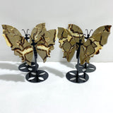 4 Pairs Septarian Butterfly Wing Carving With Stand 5 -Wholesale Crystals