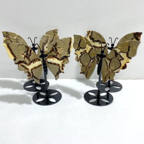 4 Pairs Septarian Butterfly Wing Carving With Stand 5 -Wholesale Crystals