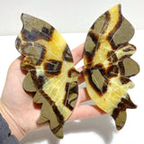 4 Pairs Septarium Butterfly Wing Carving With Stand 2 - Wholesale Crystals