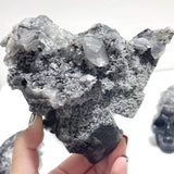 4 Pieces Black Clear Quartz Cluster Skull Carving - Wholesale Crystals