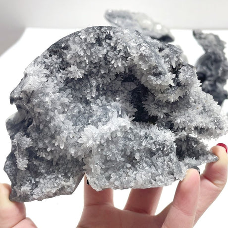 4 Pieces Black Clear Quartz Cluster Skull Carving - Wholesale Crystals