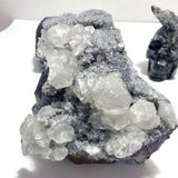 4 Pieces Black Clear Quartz Cluster Skull Carving - Wholesale Crystals