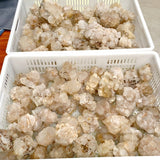 40KG Clear Quartz Pineapple Quartz Cluster (Sea Freight Only) -Wholesale Crystals
