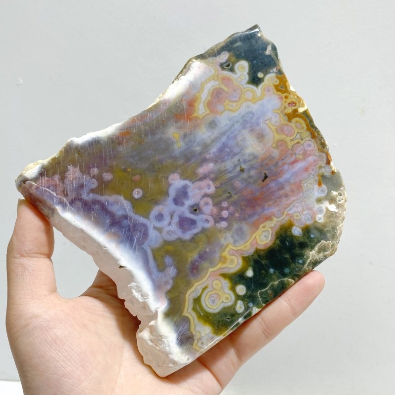 5 Pieces 8th Vein Ocean Jasper Slab -Wholesale Crystals