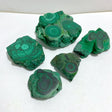 5 Pieces Beautiful High Quality Malachite Specimen -Wholesale Crystals