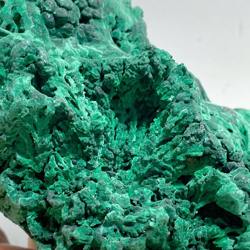 5 Pieces High Quality Large Raw Malachite -Wholesale Crystals