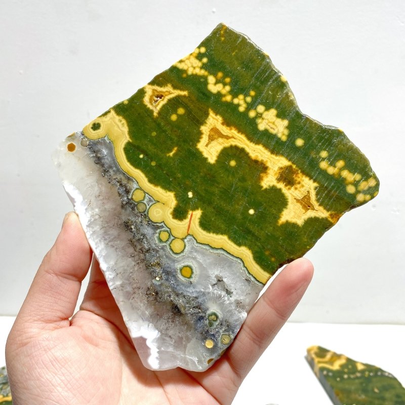 5 Pieces Large 8th Vein Ocean Jasper Slabs - Wholesale Crystals