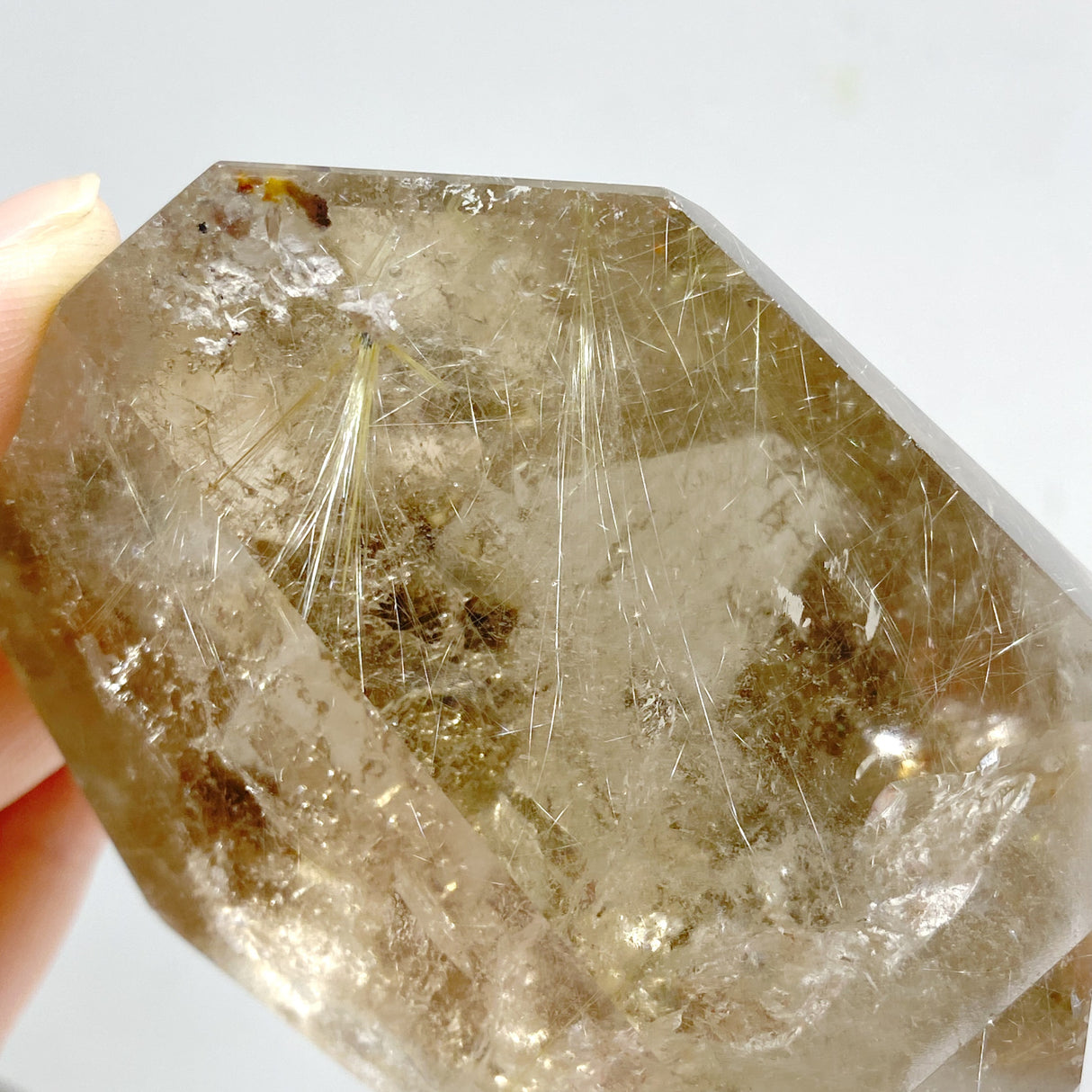 4 Pieces Golden Rutile Quartz Free Form With Stand