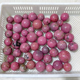 52 Pieces High Quality Rhodonite Spheres (Sea Freight Only) -Wholesale Crystals