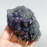 17 Pieces Blue Fluorite Mixed Pyrite Raw Stone
