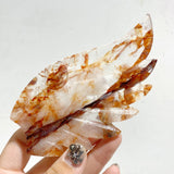 Unique Red Fire Quartz Heart Wing Carving With Stand