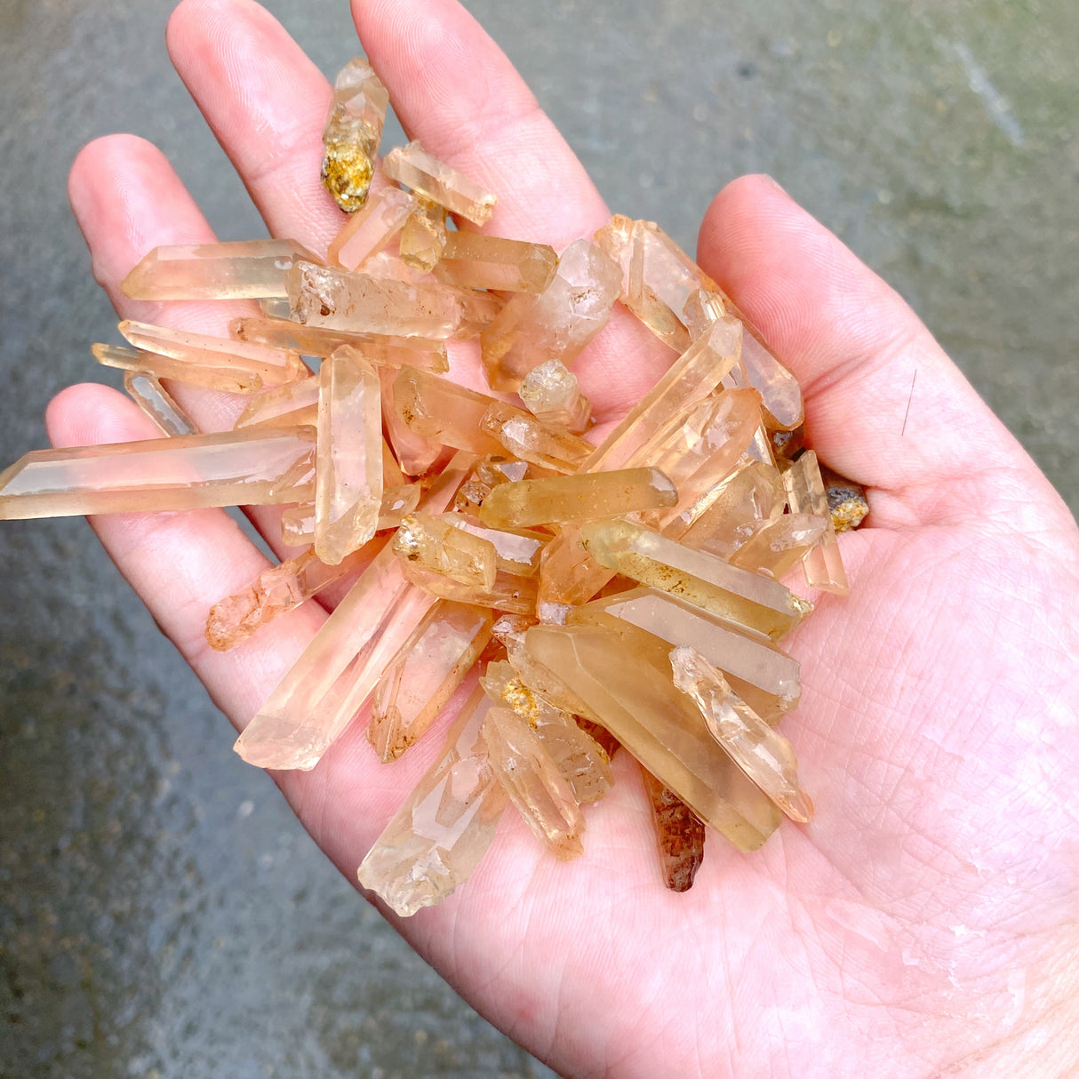 28KG Tangerine Quartz Mini Super Clear Quartz Point (Sea Freight Only)