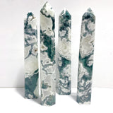 4 Pieces Tall Geode White Moss Agate Points