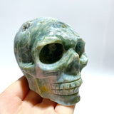 6 Pieces Moss Agate Skull Carving - Wholesale Crystals