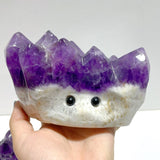 6 Pieces Polished Amethyst Teeth Cluster Groot Carving - Wholesale Crystals