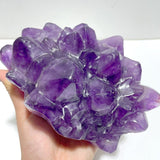 6 Pieces Polished Large Amethyst Teeth Cluster Groot Carving - Wholesale Crystals