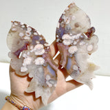 Unique Sakura Flower Agate Butterfly Wing Carving With Stand