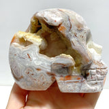 7 Pieces Geode Druzy Morocco Agate Skull Carving 3 - Wholesale Crystals