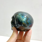 7 Pieces Labradorite Skull Carving - Wholesale Crystals