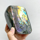 7 Pieces Large Labradorite Free Form -Wholesale Crystals
