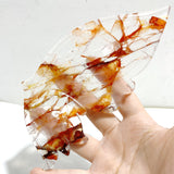 Red Fire Quartz Butterfly Wing Carving With Stand