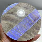8 Pieces Blue Moonstone Round Plate Home Decoration With Plastic Base - Wholesale Crystals