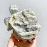 8 Pieces Geode Aura Sphalerite Sea Turtles Carving -Wholesale Crystals