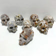 8 Pieces Geode Druzy Morocco Agate Skull Carving 4 - Wholesale Crystals