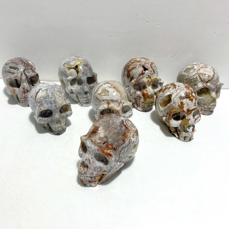 8 Pieces Geode Druzy Morocco Agate Skull Carving 4 - Wholesale Crystals