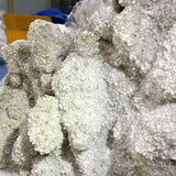 12.5KG Clear Quartz Cluster Mixed Apophyllite Pyrite Mineral Specimen (Sea Freight Only)