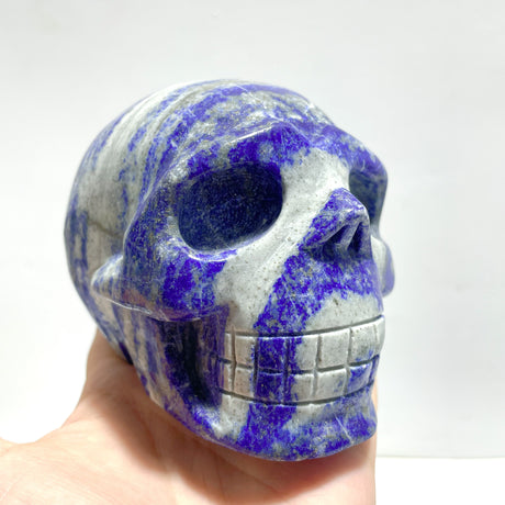 4 Pieces Lapis Lazuli Skull Carving