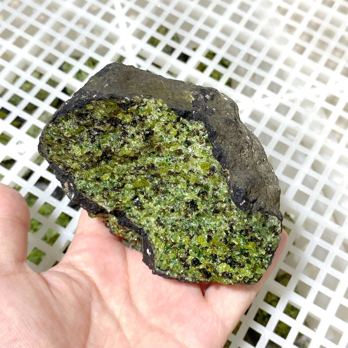 89 Pieces Raw Peridot Stone (Sea Freight Only)