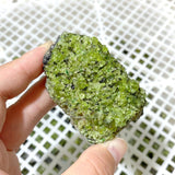 89 Pieces Raw Peridot Stone (Sea Freight Only) -Wholesale Crystals