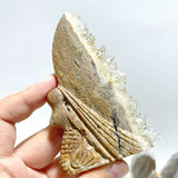 11 Pieces Clear Quartz Cluster Butterfly Fairy Carving