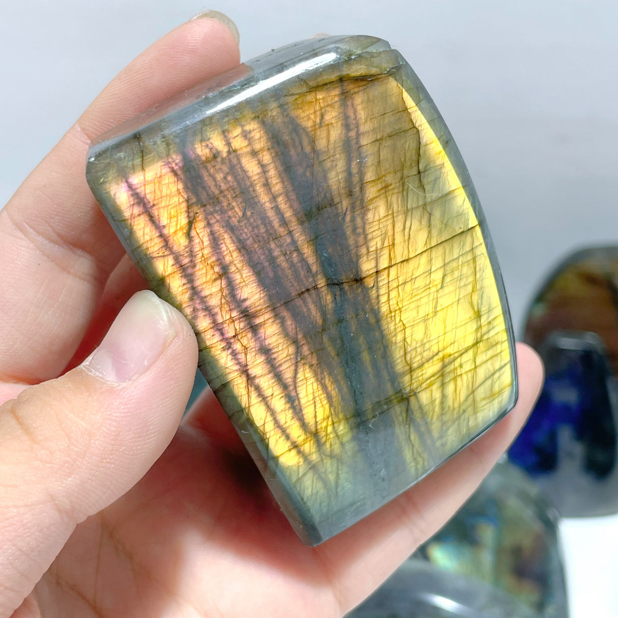 22 Pieces Beautiful High Quality Polished Labradorite Free Form