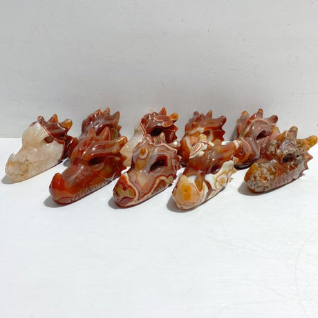 9 Pieces Carnelian Dragon Head Carving -Wholesale Crystals
