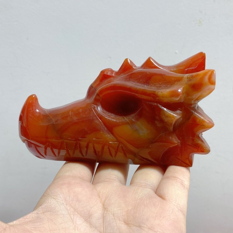 9 Pieces Carnelian Dragon Head Carving -Wholesale Crystals