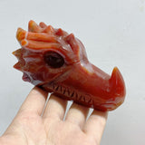 9 Pieces Carnelian Dragon Head Carving -Wholesale Crystals