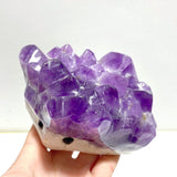 9 Pieces Polished Amethyst Teeth Cluster Groot Carving - Wholesale Crystals