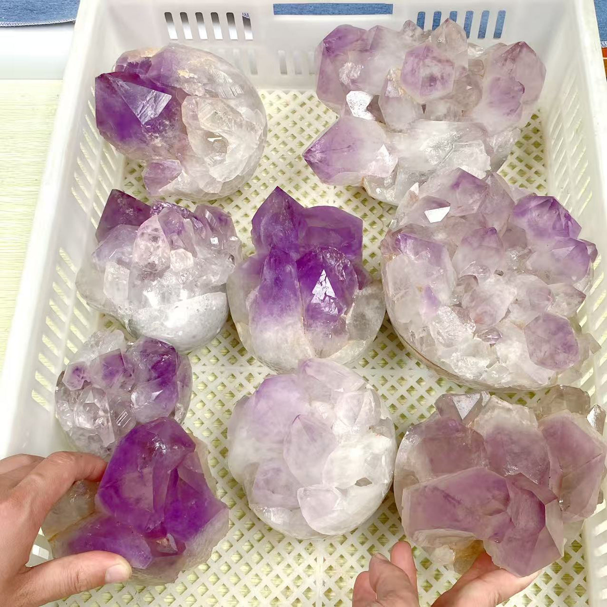 9 Pieces Raw Amethyst Cluster Polished Bottom Egg Shape (Sea Freight Only)