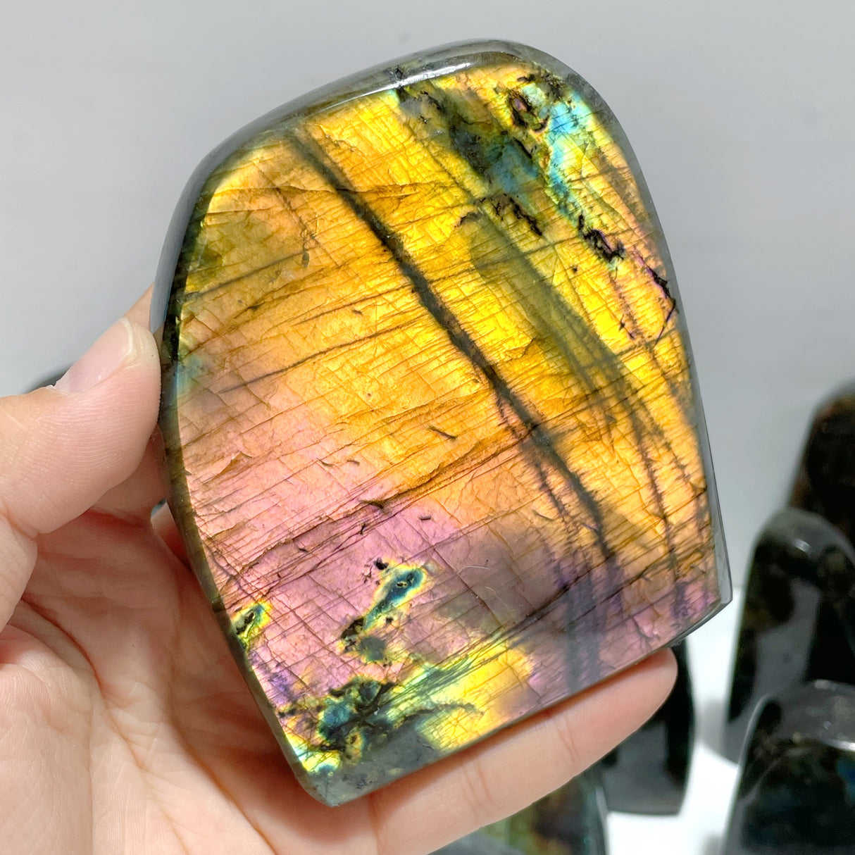 22 Pieces Beautiful High Quality Polished Labradorite Free Form