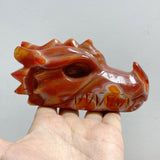 8 Pieces Carnelian Dragon Head Carving