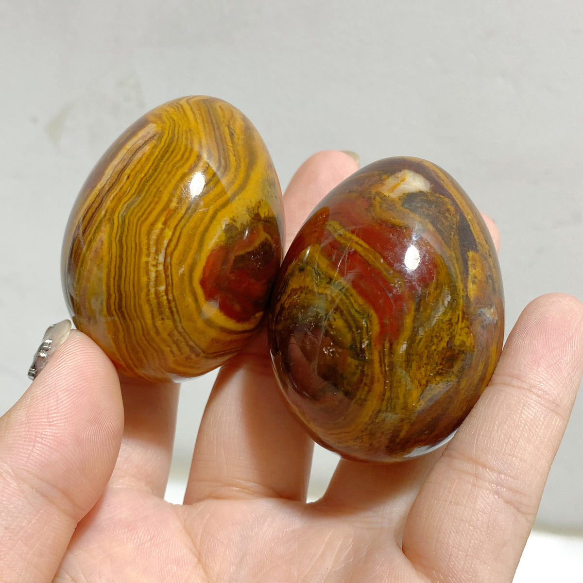 Petrified Wood Stone Egg Wholesale