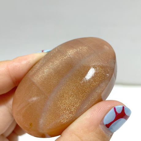 High Quality Sunstone Palm Wholesale