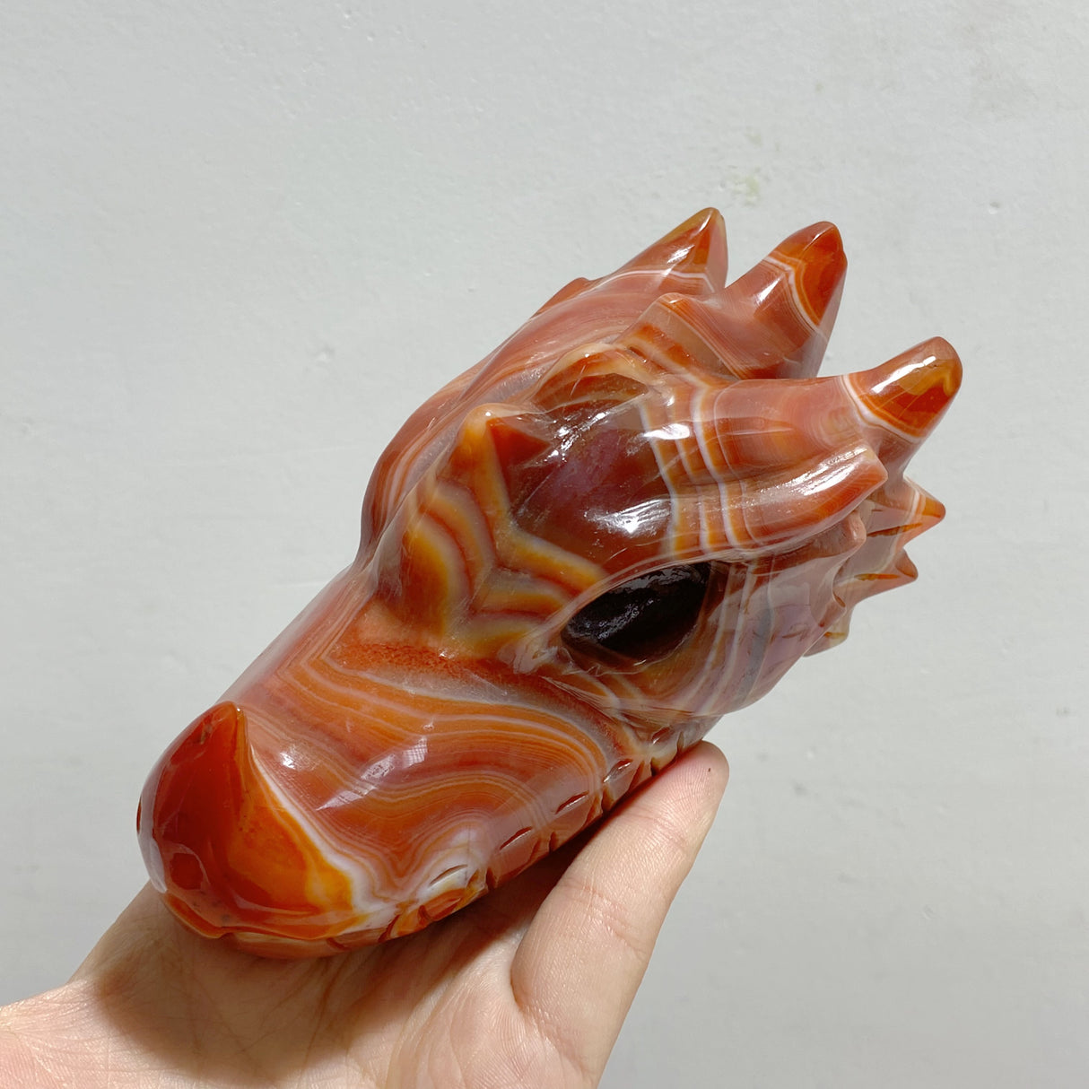 8 Pieces Carnelian Dragon Head Carving