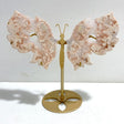 Beautiful Geode Druzy Sakura Flower Agate Butterfly Wing With Stand - Wholesale Crystals