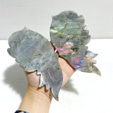 Beautiful Labradorite Butterfly Wing Carving With Stand - Wholesale Crystals