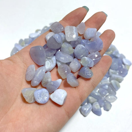 Blue Lace Agate Chips Small Tumbled Wholesale - Wholesale Crystals